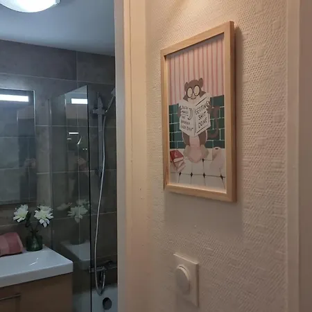 Au Petit Coeur Messin Chaleureux T2 Entierement Renove * 梅斯