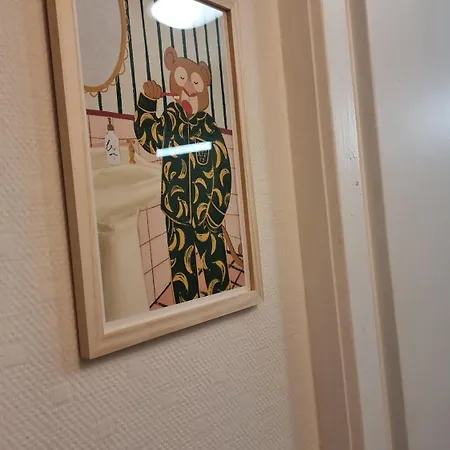 Au Petit Coeur Messin Chaleureux T2 Entierement Renove Apartman